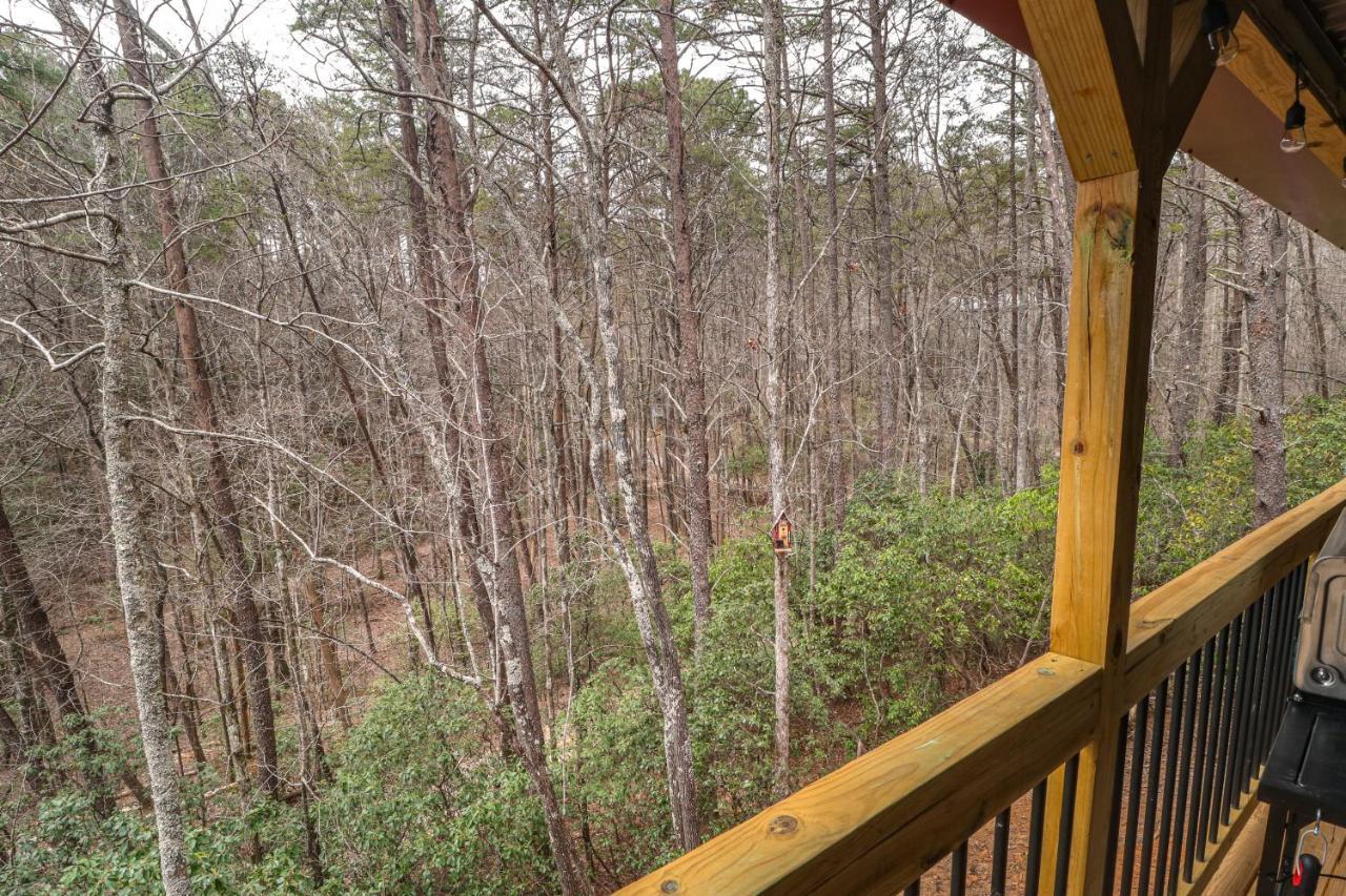 Cozy Bear Cabin #1 Sautee Nacoochee المظهر الخارجي الصورة
